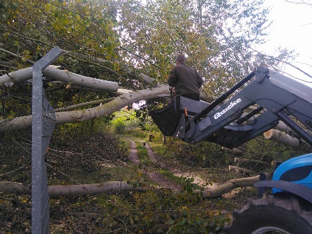 Beseitigung Sturmschaden